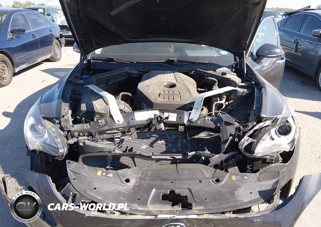 2019 Kia Stinger VIN:KNAE15LA2K6066082 - 10