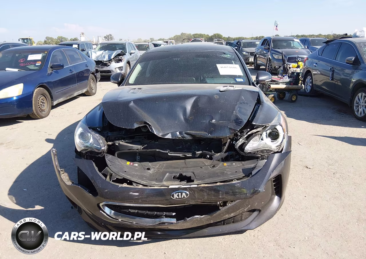 2019 Kia Stinger VIN:KNAE15LA2K6066082 - 12