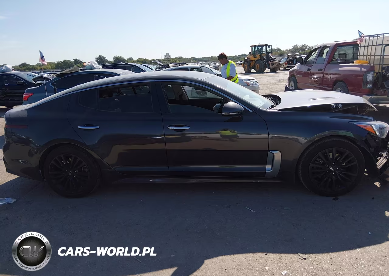 2019 Kia Stinger VIN:KNAE15LA2K6066082 - 13