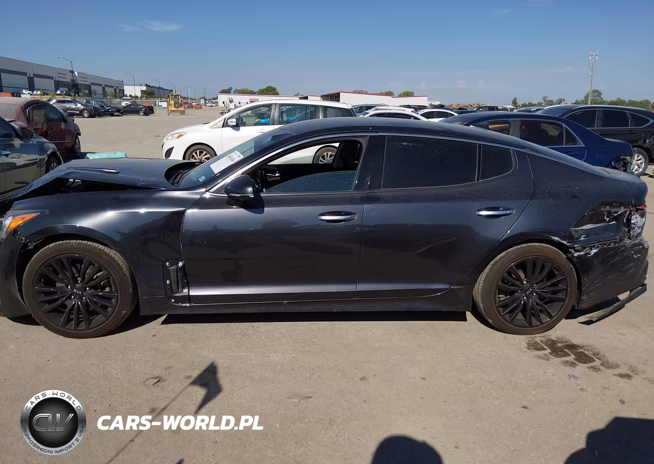 2019 Kia Stinger VIN:KNAE15LA2K6066082 - 14