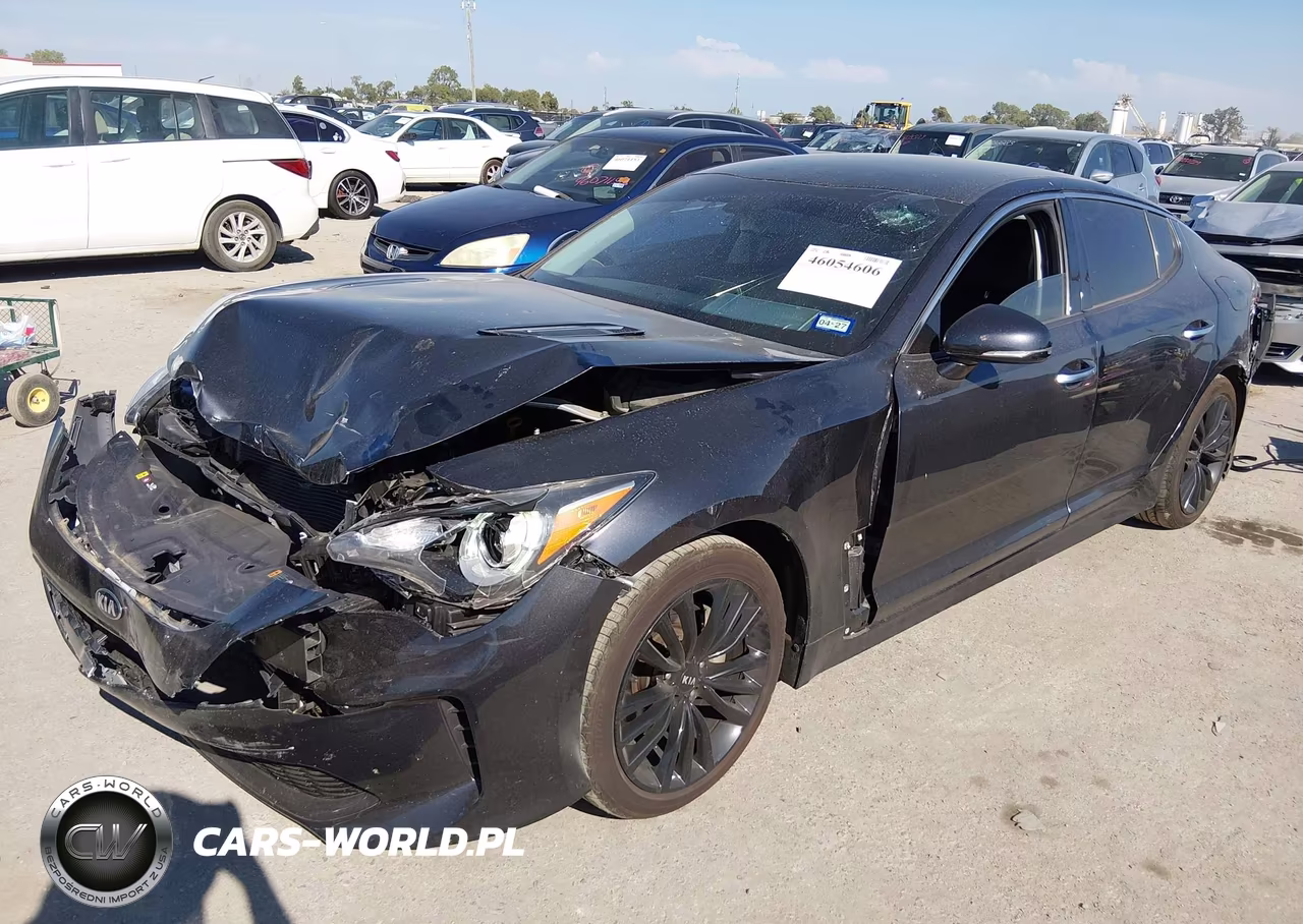 2019 Kia Stinger VIN:KNAE15LA2K6066082 - 2