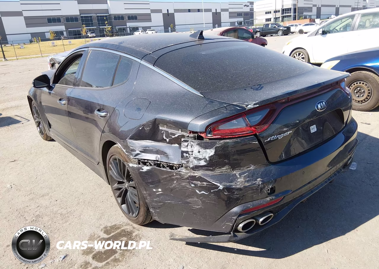 2019 Kia Stinger VIN:KNAE15LA2K6066082 - 3