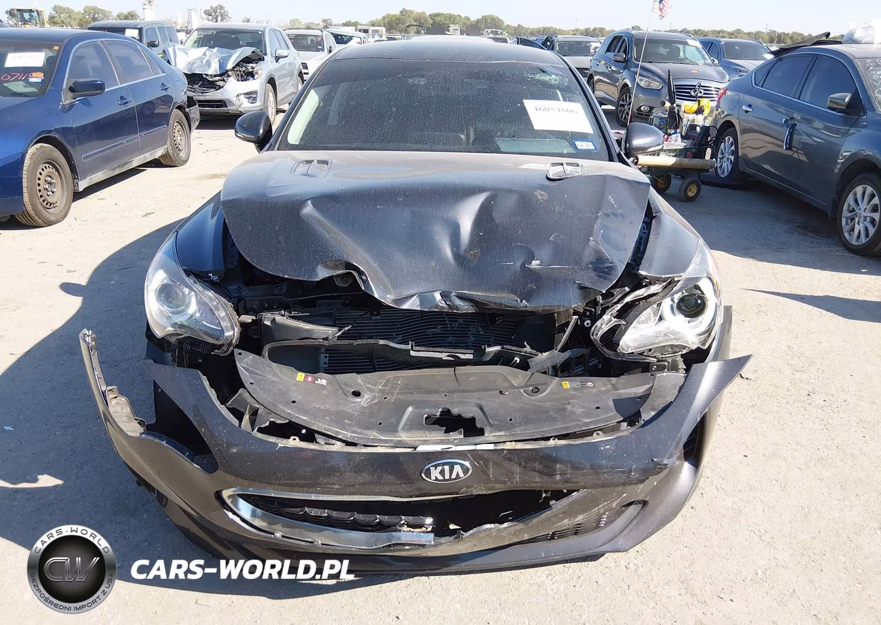 2019 Kia Stinger VIN:KNAE15LA2K6066082 - 6