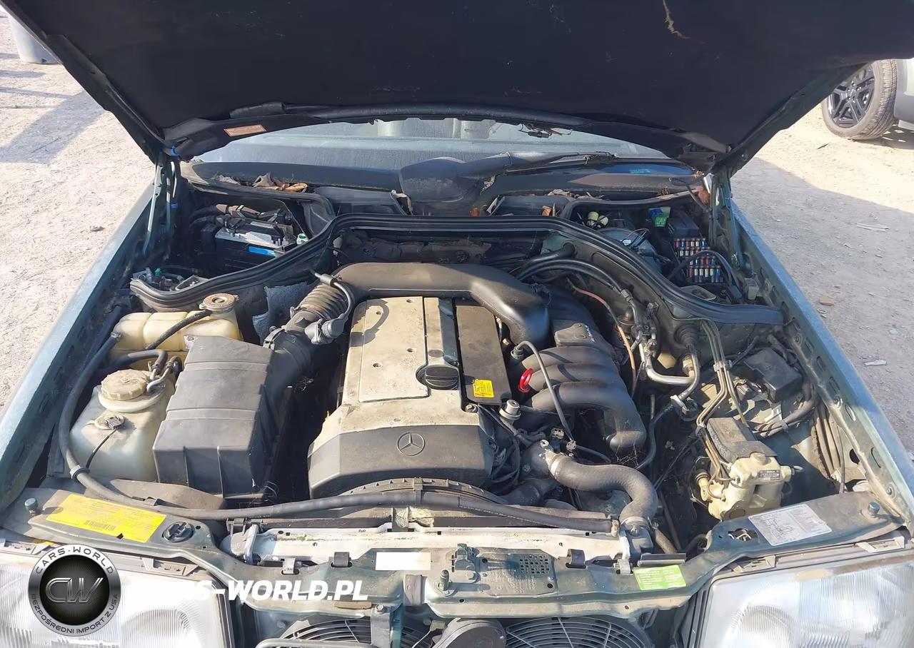 1994 Mercedes-Benz E 320 VIN:WDBEA32E3RC146464 - 10