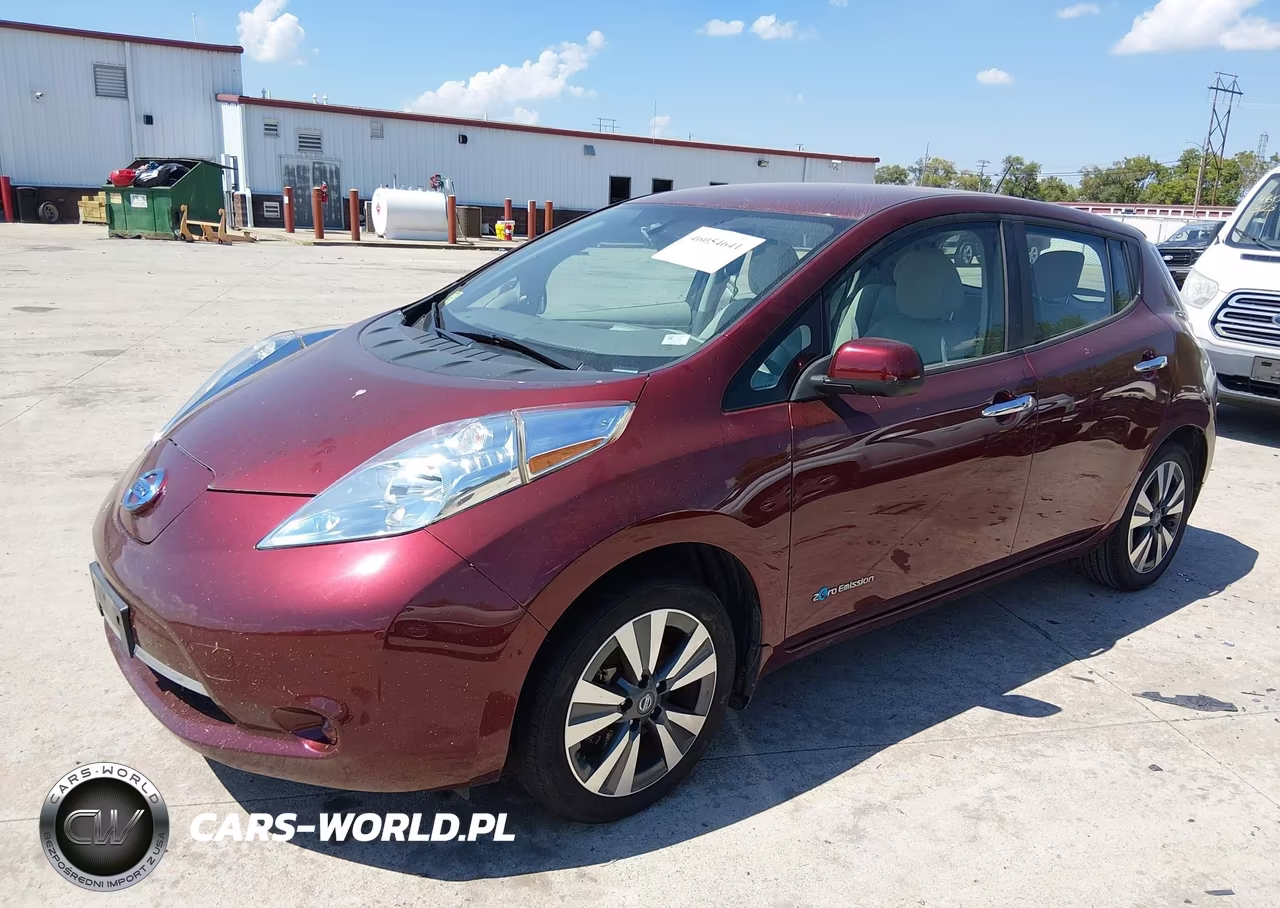 2016 Nissan Leaf S-Sl-Sv VIN:1N4BZ0CPXGC310100 - 2