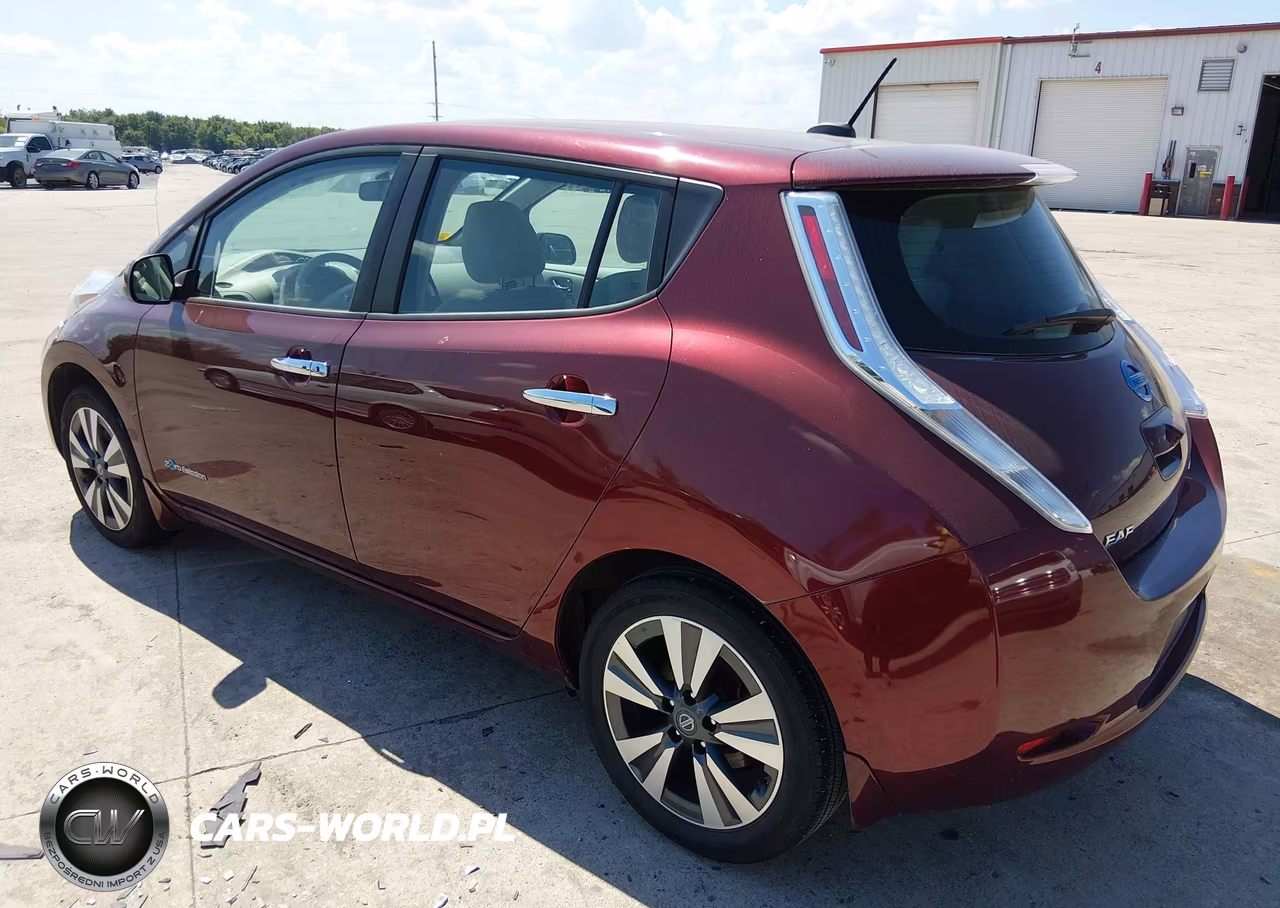 2016 Nissan Leaf S-Sl-Sv VIN:1N4BZ0CPXGC310100 - 3