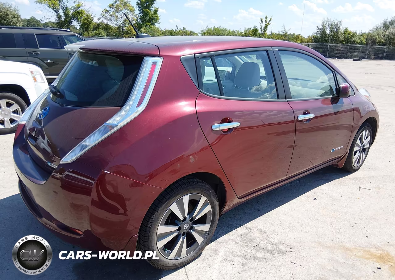 2016 Nissan Leaf S-Sl-Sv VIN:1N4BZ0CPXGC310100 - 4