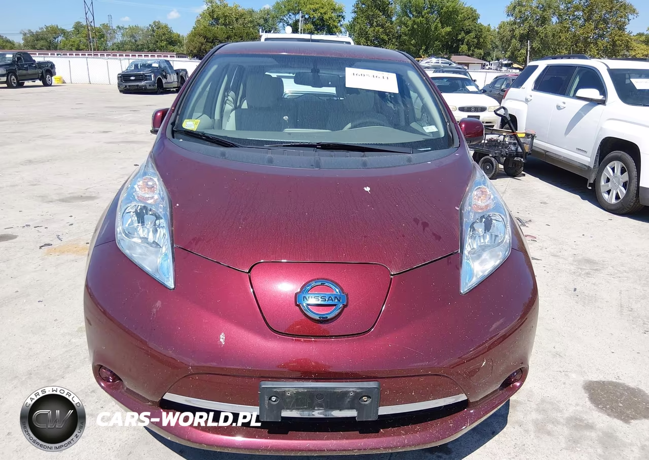 2016 Nissan Leaf S-Sl-Sv VIN:1N4BZ0CPXGC310100 - 6