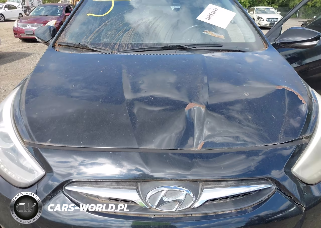 2014 Hyundai Accent Se VIN:KMHCU5AE6EU145905 - 10
