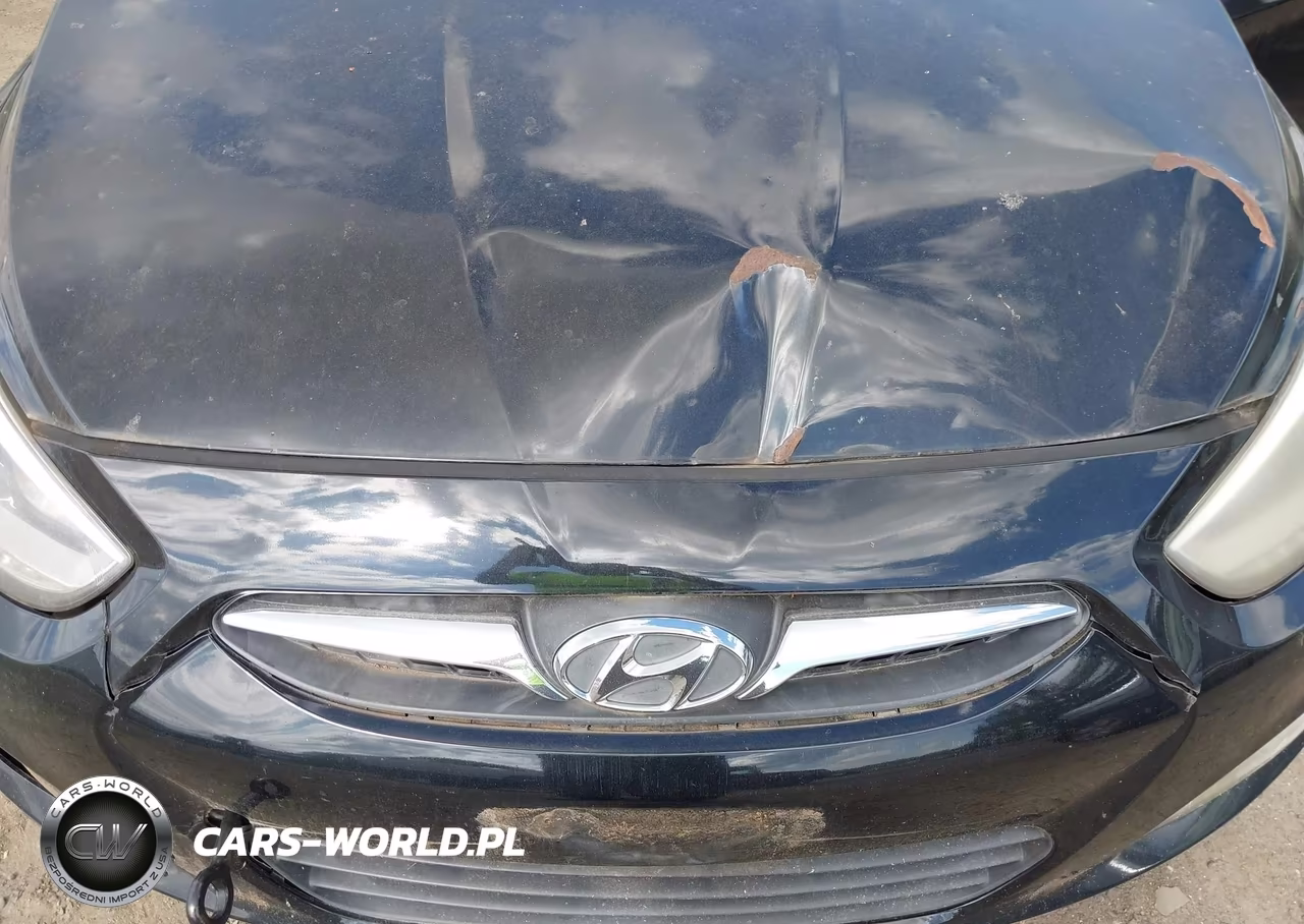 2014 Hyundai Accent Se VIN:KMHCU5AE6EU145905 - 6