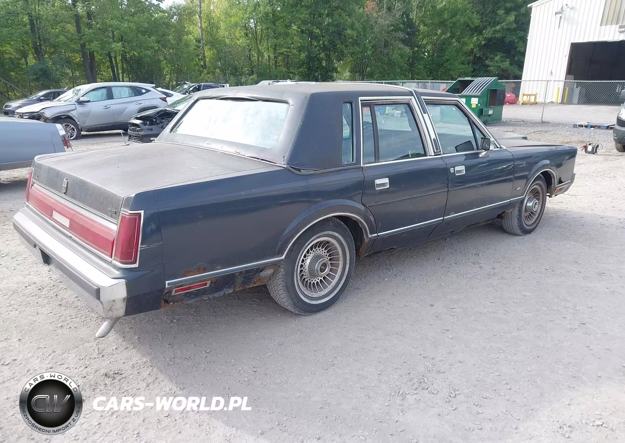 1986 Lincoln Town Car VIN:1LNBP96F2GY616908 - 4