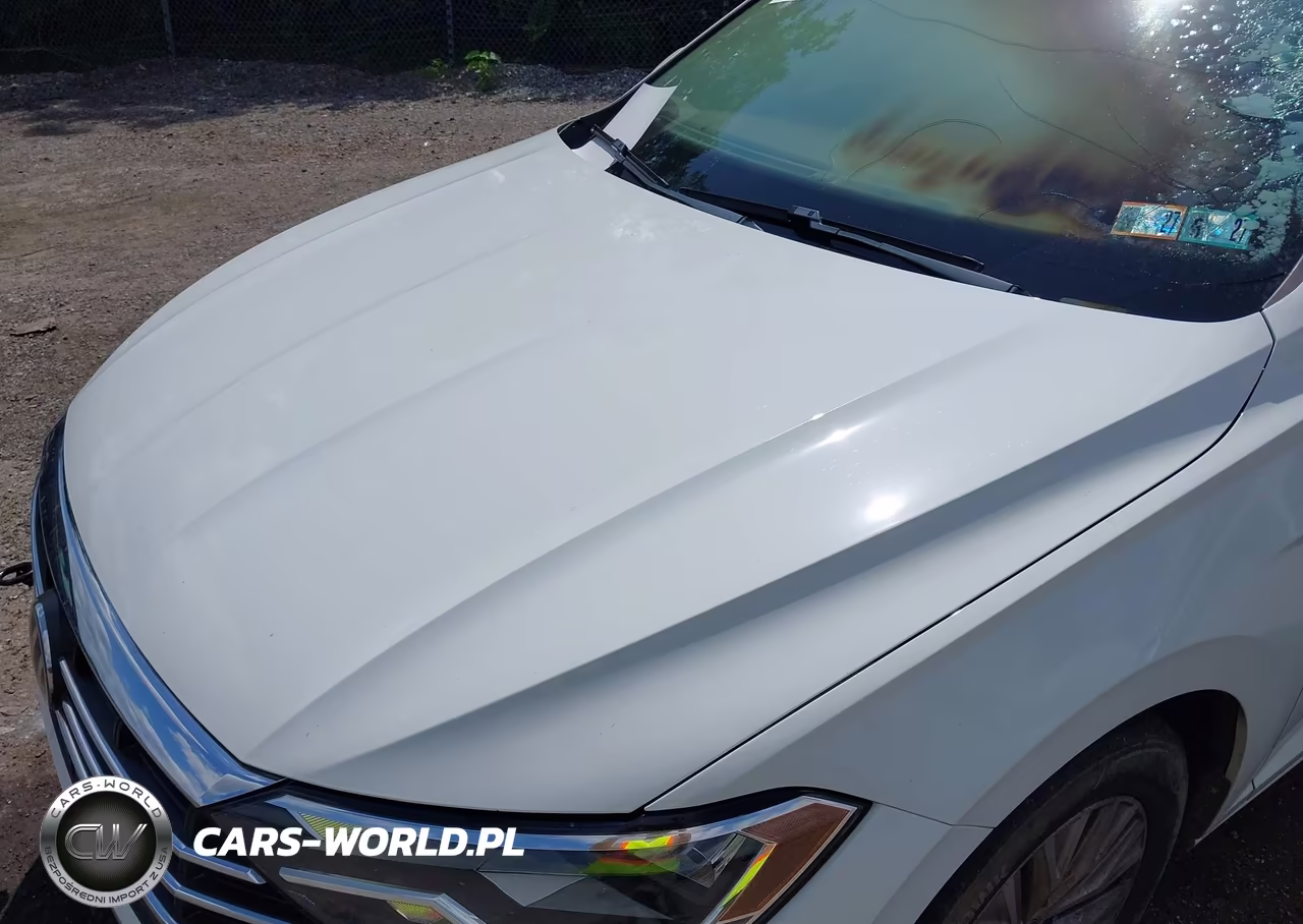 2019 Volkswagen Jetta 1.4T S VIN:3VWN57BU9KM115063 - 10