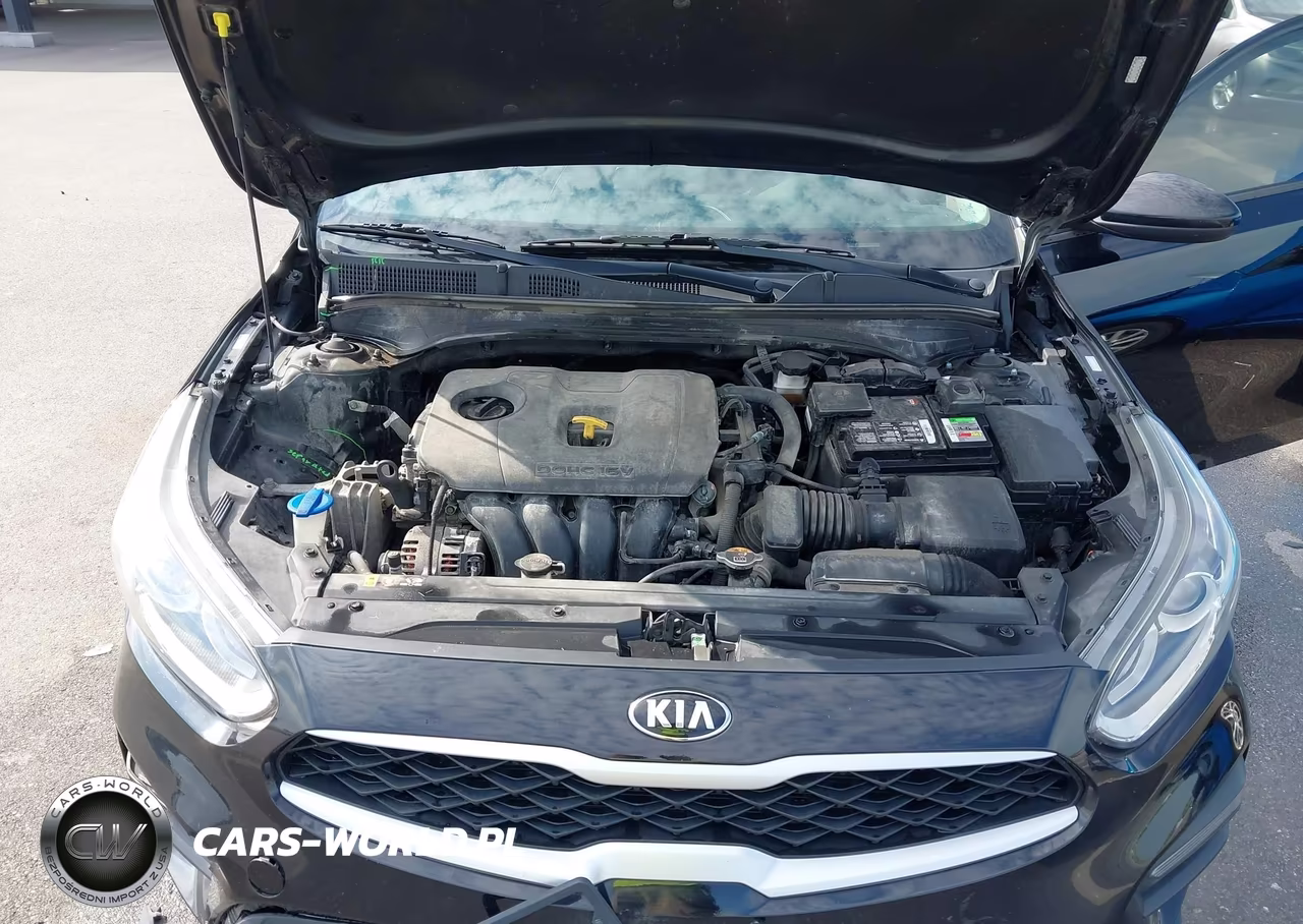 2020 Kia Forte Fe VIN:3KPF24ADXLE192830 - 10