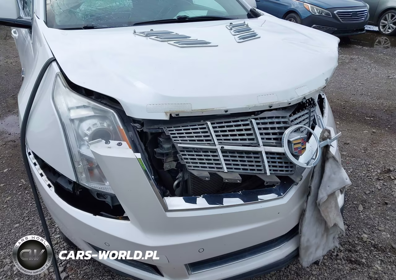 2011 Cadillac Srx Luxury Collection VIN:3GYFNAEY5BS638900 - 19