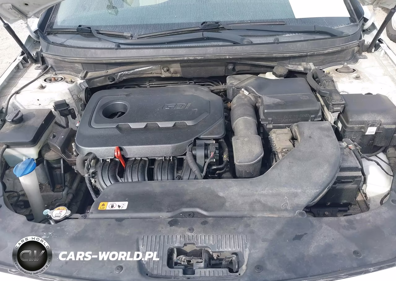 2016 Hyundai Sonata Se VIN:5NPE24AF0GH291705 - 10
