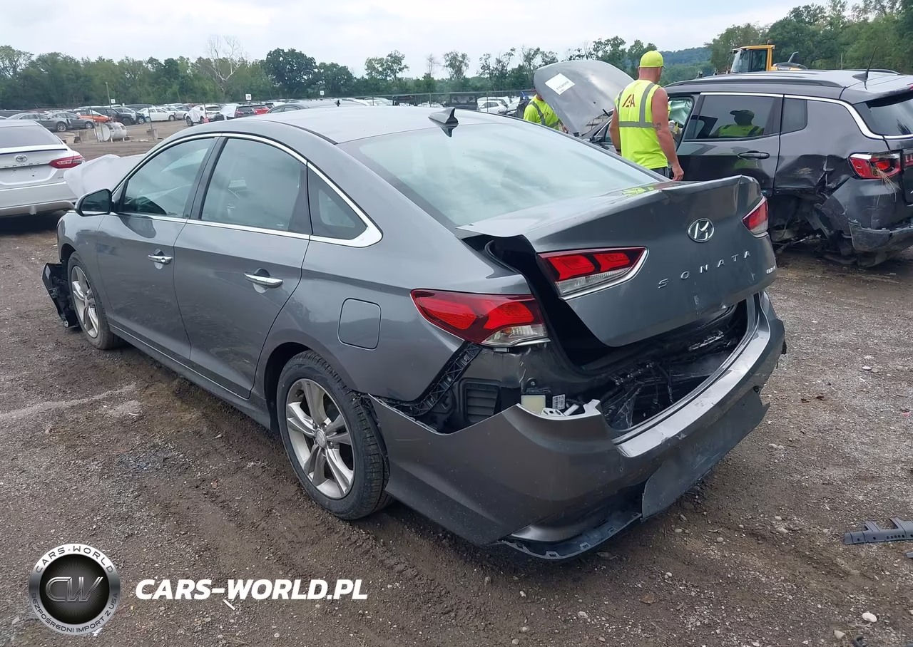 2018 Hyundai Sonata Limited VIN:5NPE34AF2JH619291 - 3