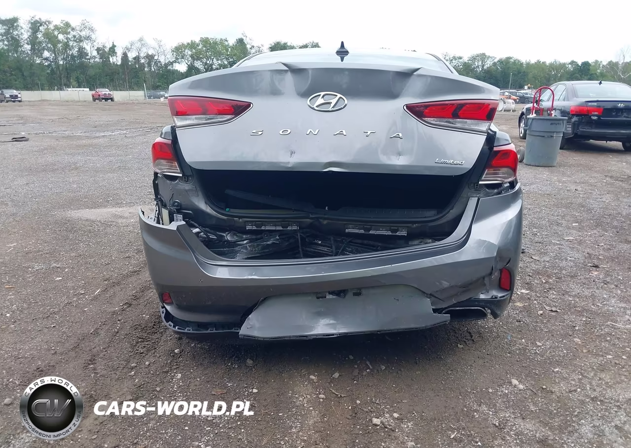 2018 Hyundai Sonata Limited VIN:5NPE34AF2JH619291 - 4