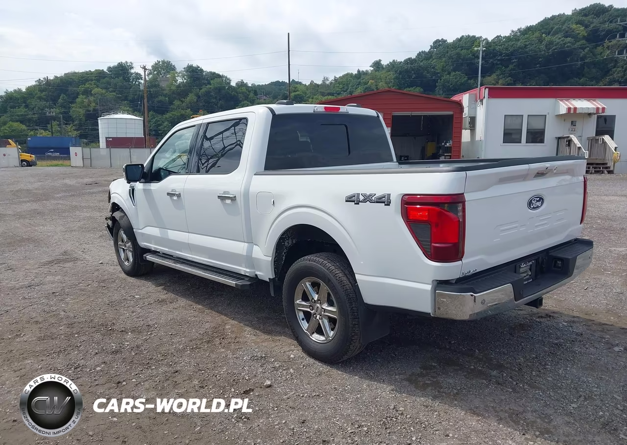 2024 Ford F-150 Xlt VIN:1FTFW3L88RKF72379 - 3