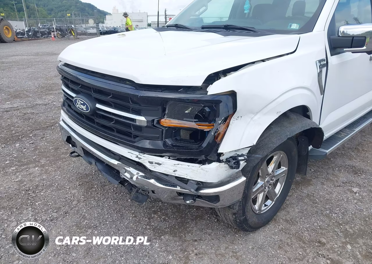 2024 Ford F-150 Xlt VIN:1FTFW3L88RKF72379 - 6