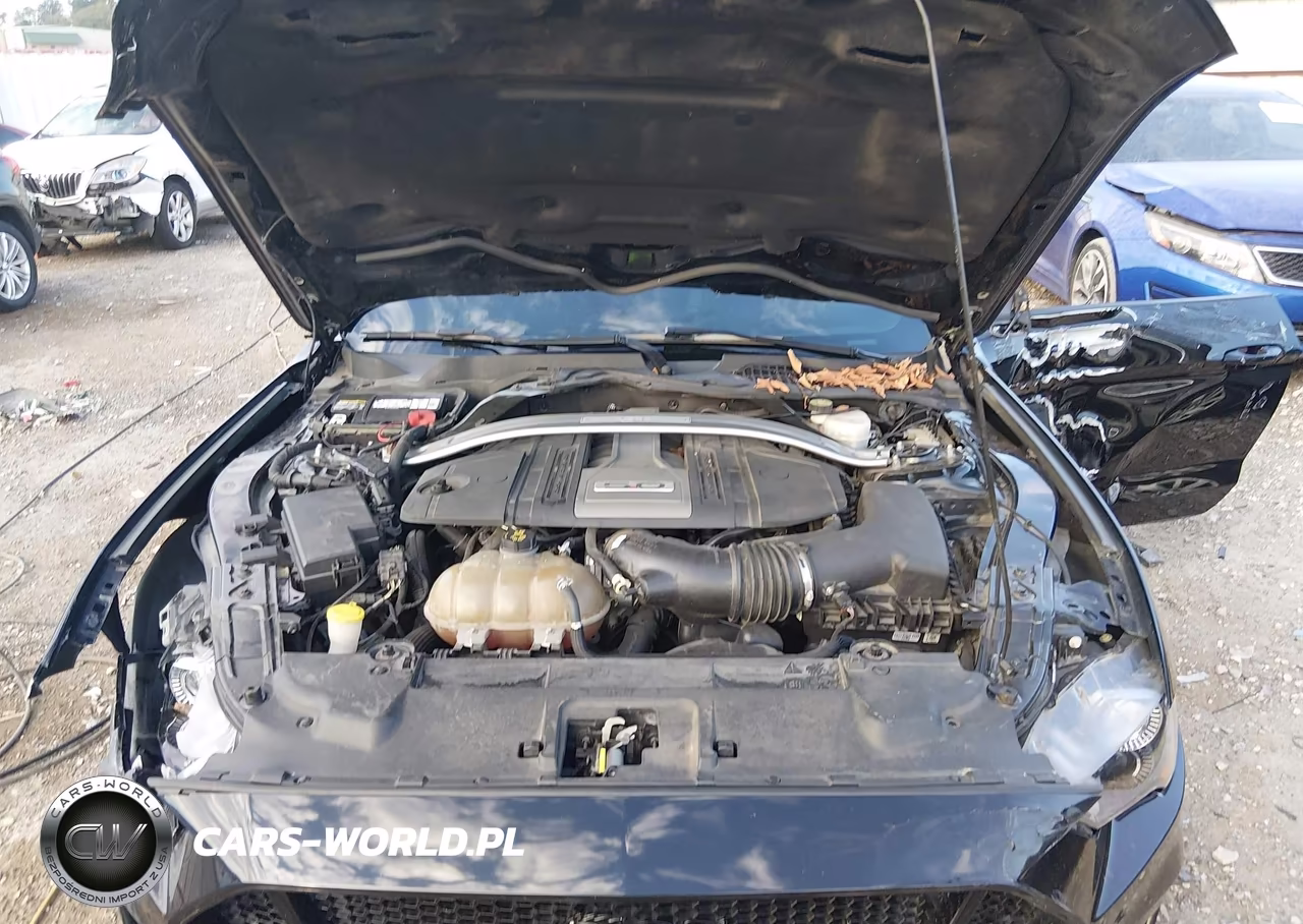 2019 Ford Mustang Gt Premium VIN:1FA6P8CF4K5120593 - 10