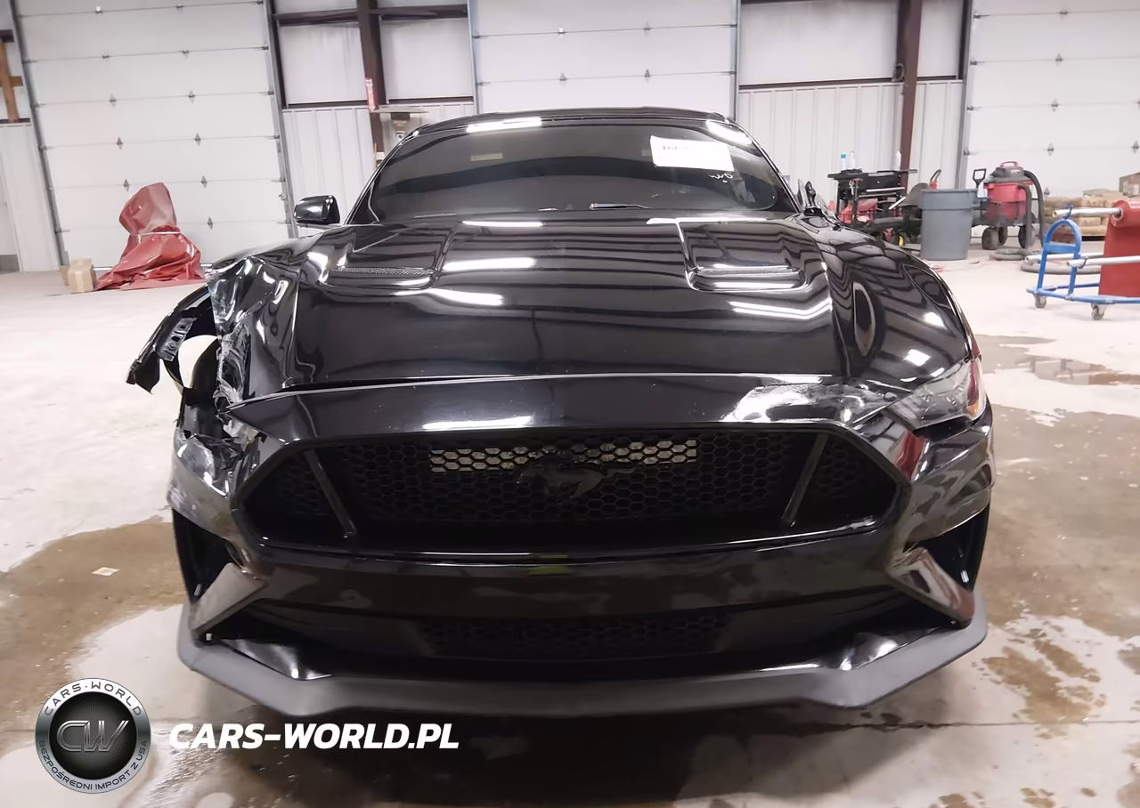 2019 Ford Mustang Gt Premium VIN:1FA6P8CF4K5120593 - 12