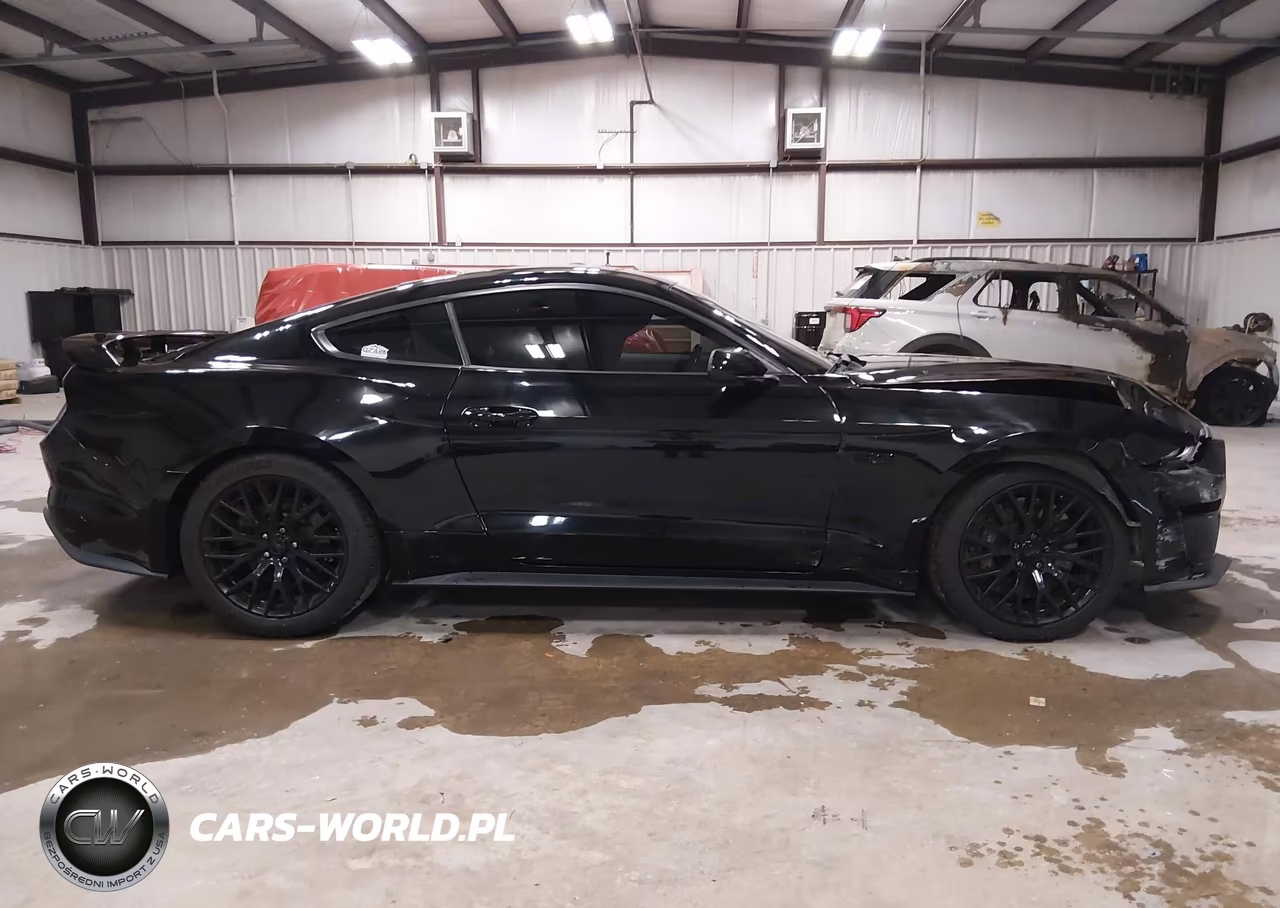 2019 Ford Mustang Gt Premium VIN:1FA6P8CF4K5120593 - 13