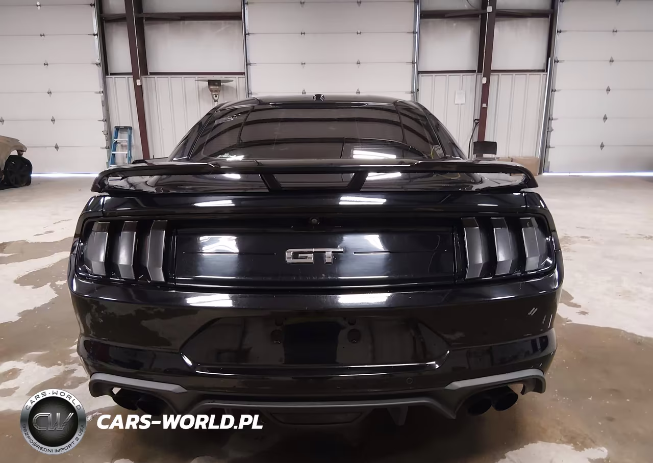 2019 Ford Mustang Gt Premium VIN:1FA6P8CF4K5120593 - 16