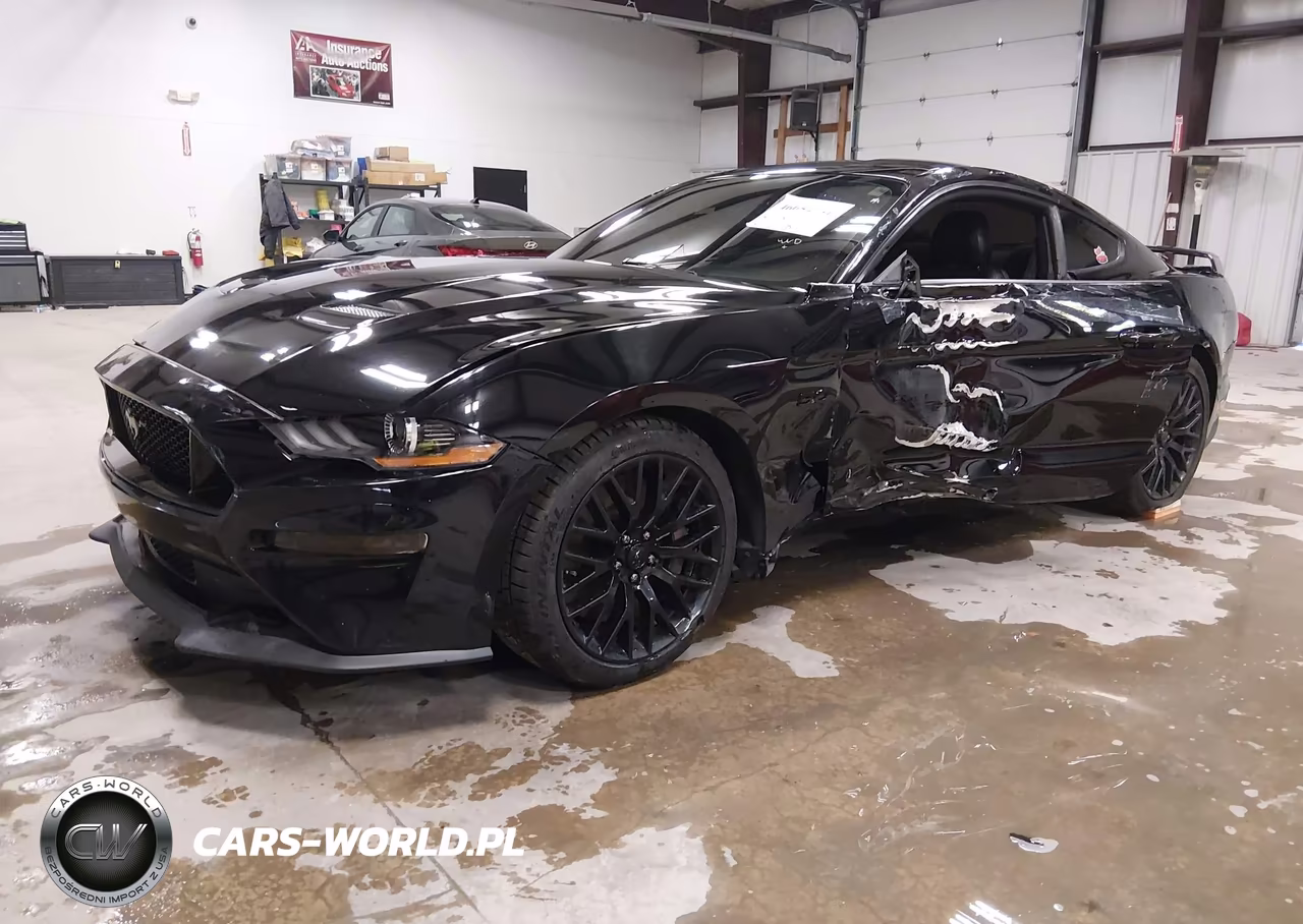 2019 Ford Mustang Gt Premium VIN:1FA6P8CF4K5120593 - 2