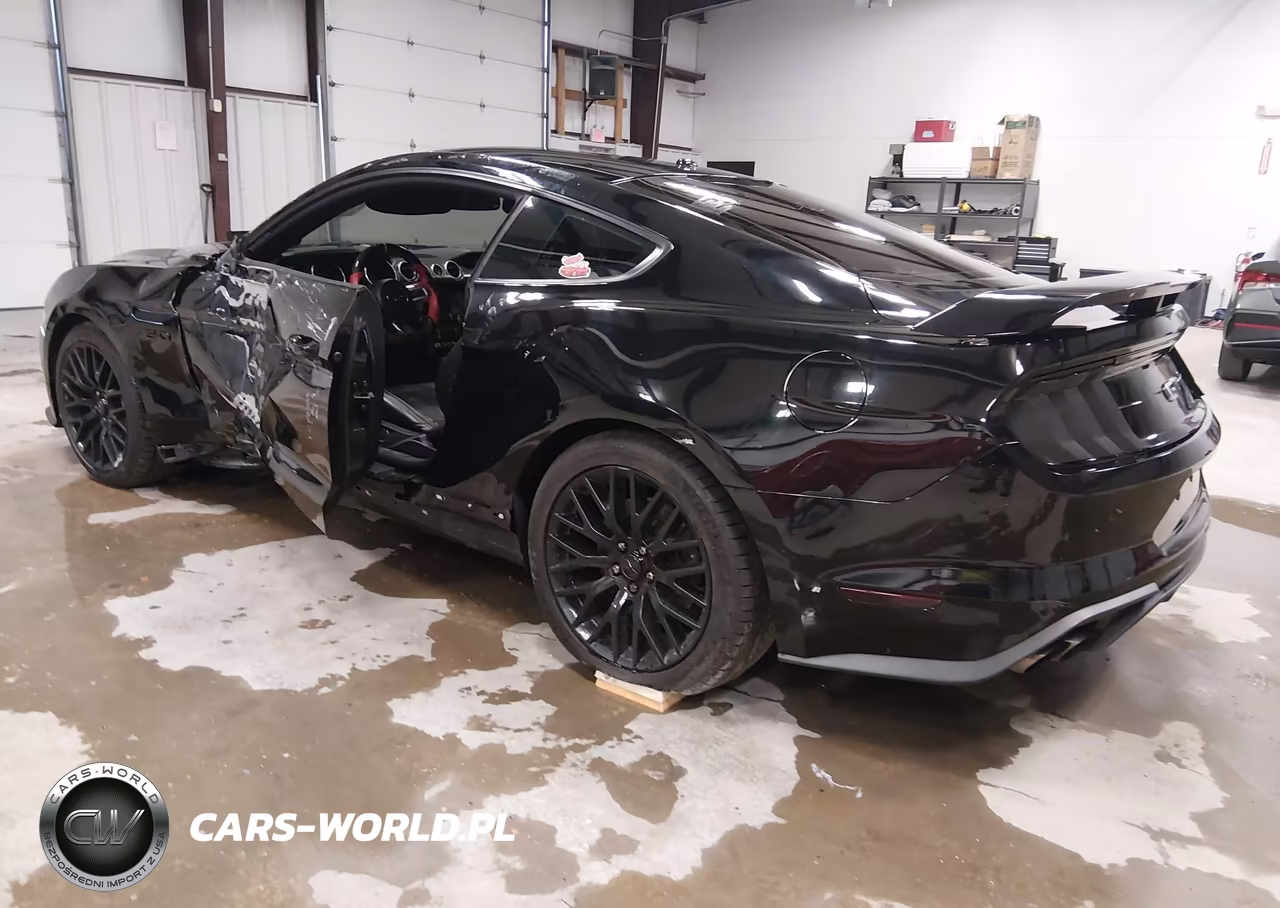 2019 Ford Mustang Gt Premium VIN:1FA6P8CF4K5120593 - 3