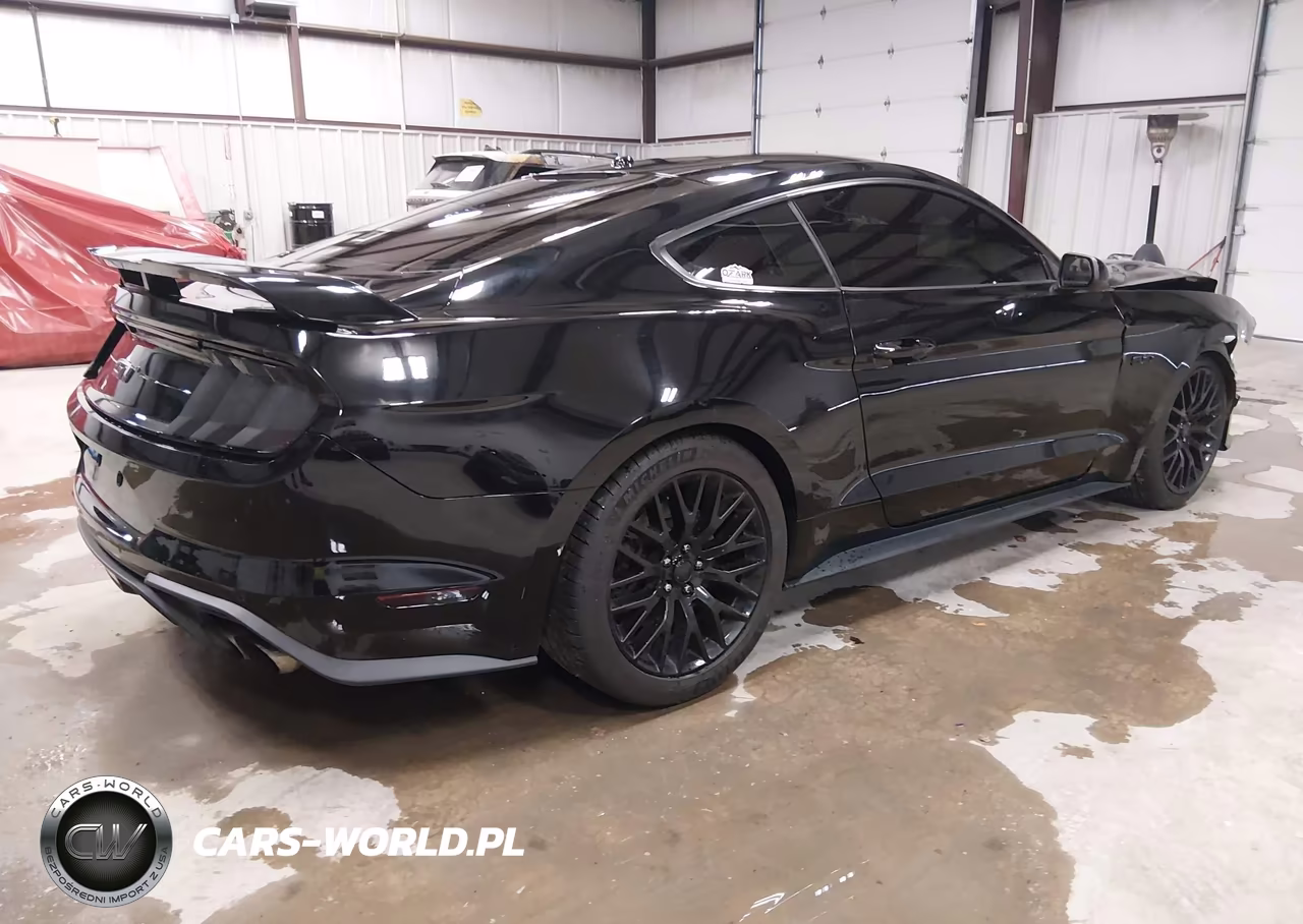 2019 Ford Mustang Gt Premium VIN:1FA6P8CF4K5120593 - 4
