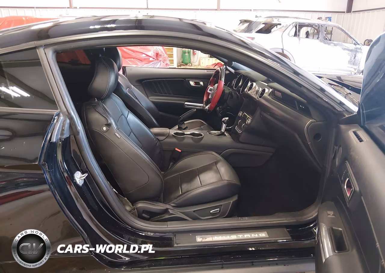 2019 Ford Mustang Gt Premium VIN:1FA6P8CF4K5120593 - 5