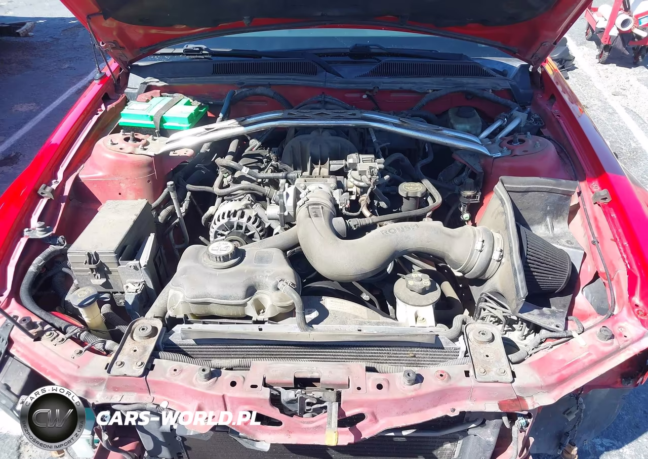 2006 Ford Mustang V6 VIN:1ZVHT80N165102601 - 10