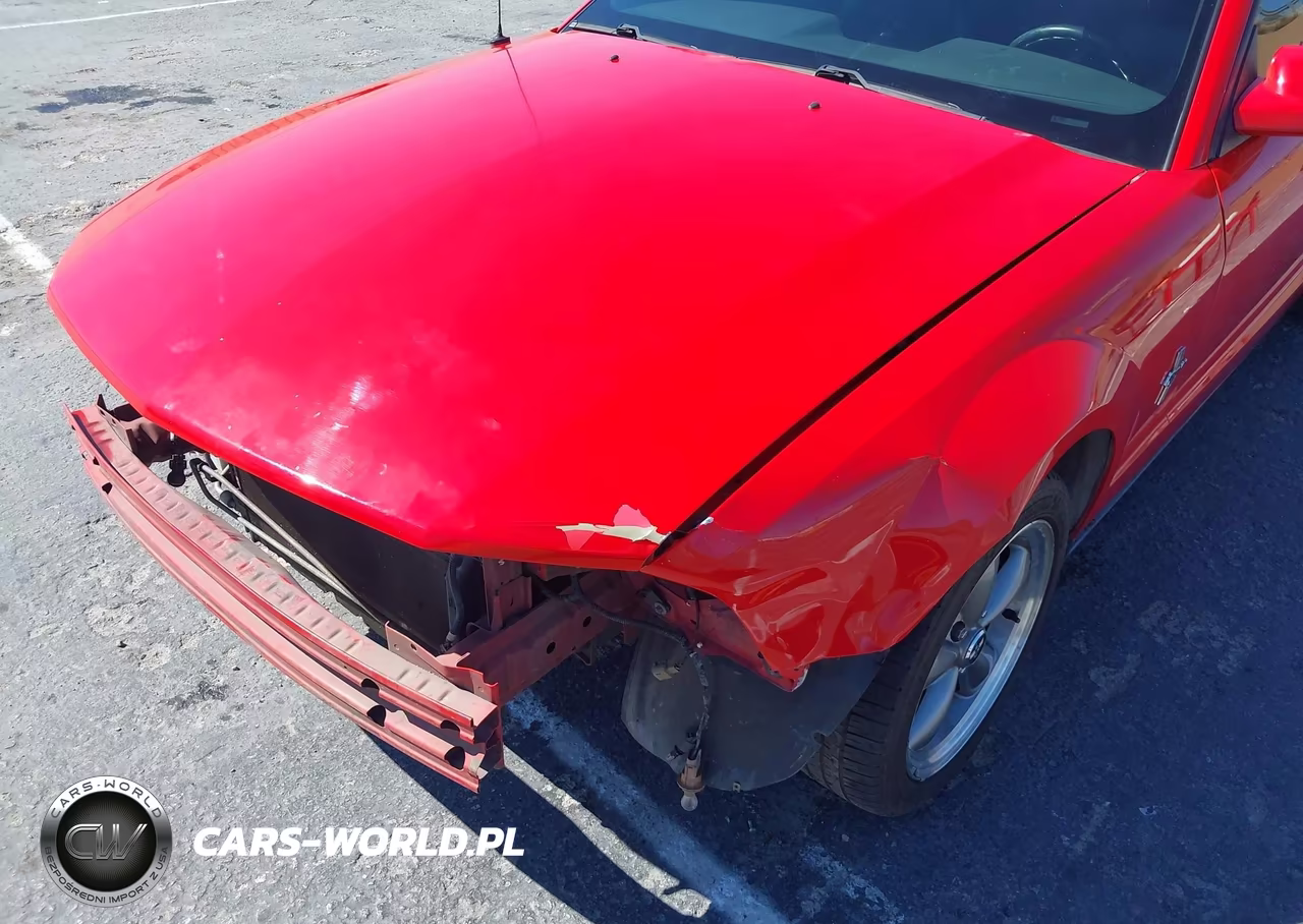 2006 Ford Mustang V6 VIN:1ZVHT80N165102601 - 13