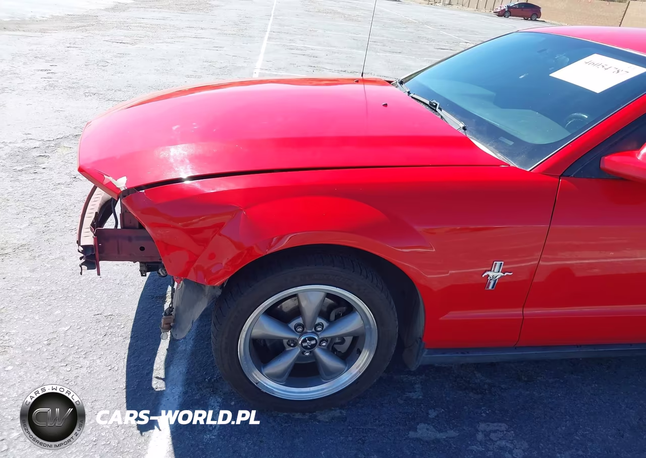 2006 Ford Mustang V6 VIN:1ZVHT80N165102601 - 14
