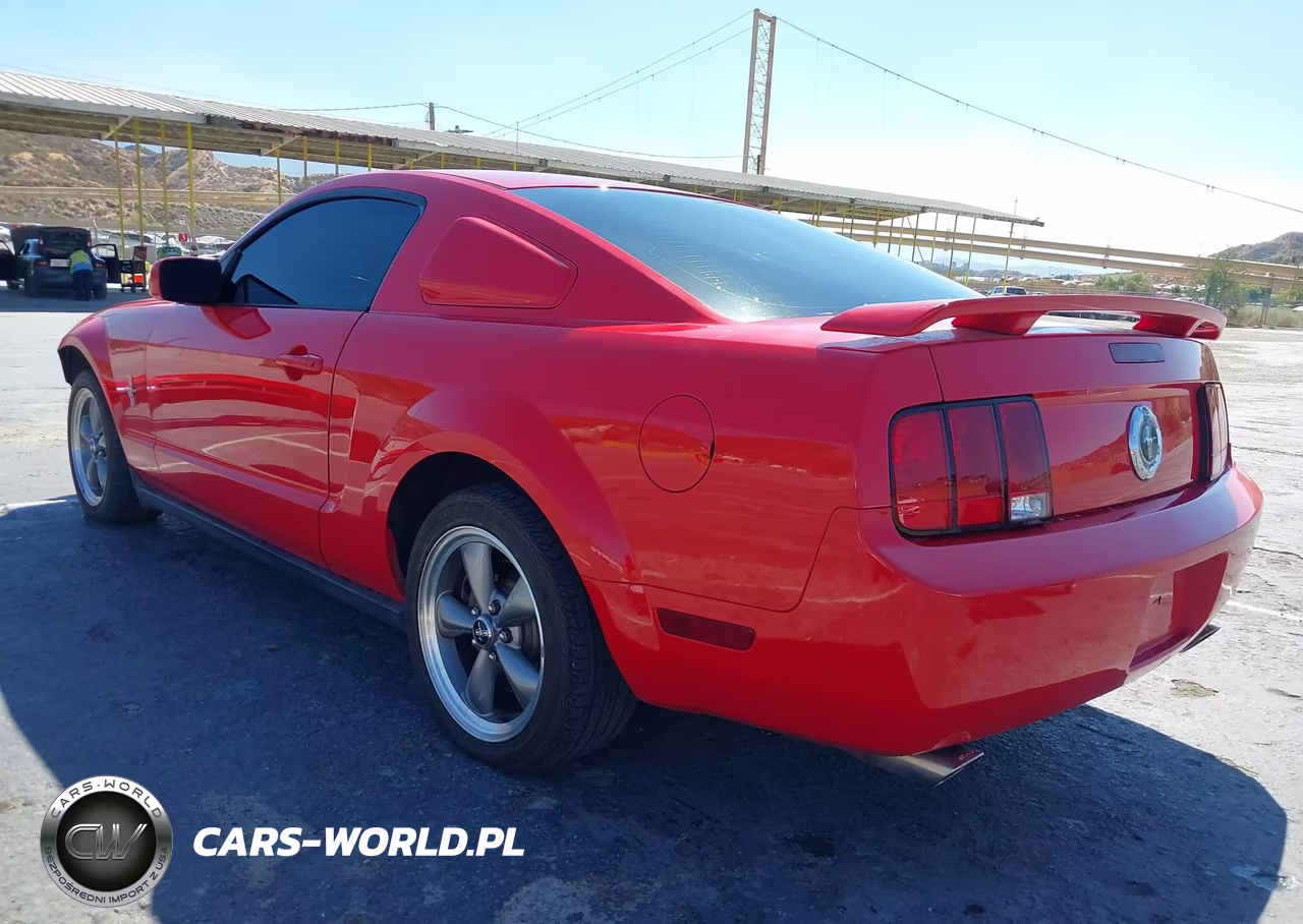 2006 Ford Mustang V6 VIN:1ZVHT80N165102601 - 3