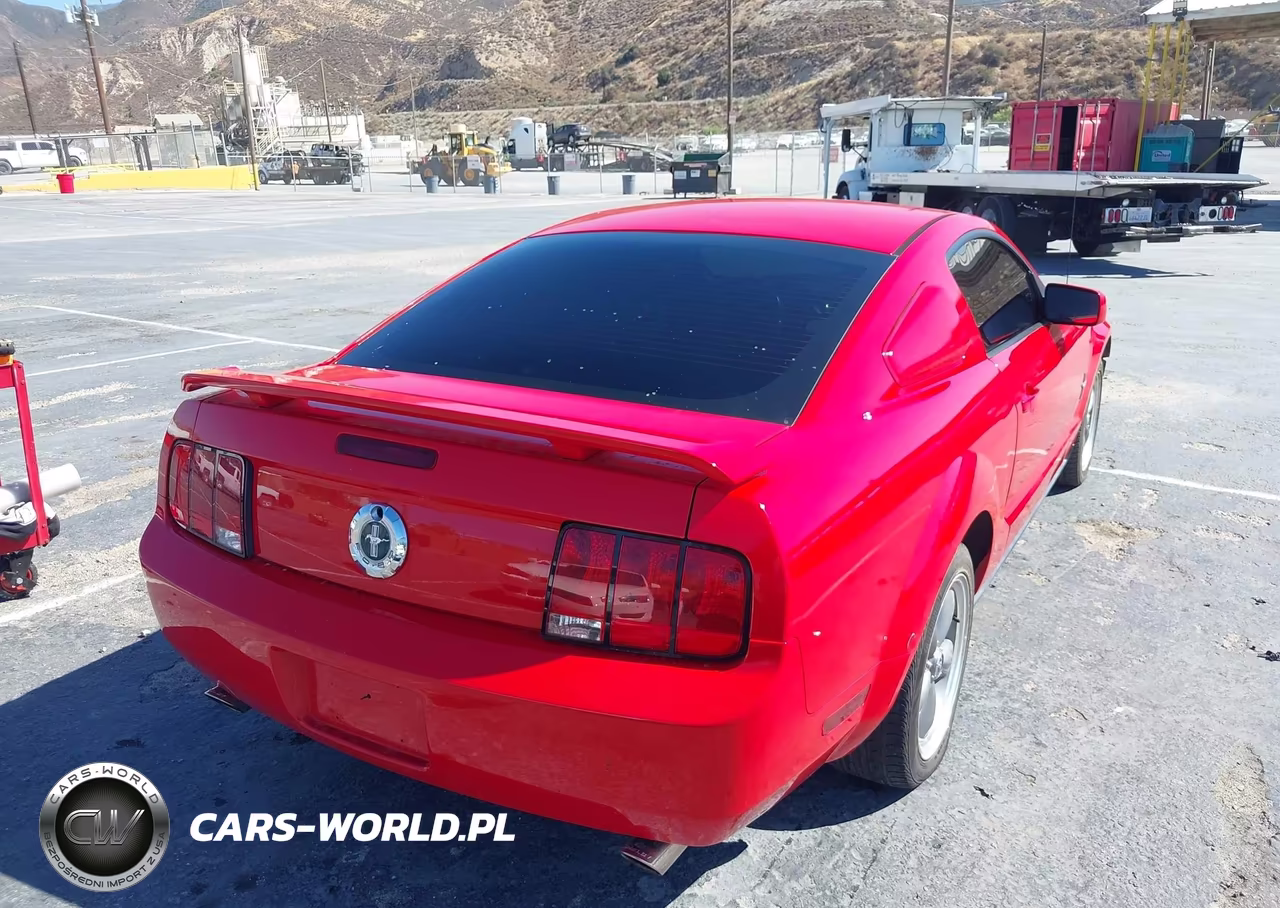 2006 Ford Mustang V6 VIN:1ZVHT80N165102601 - 4