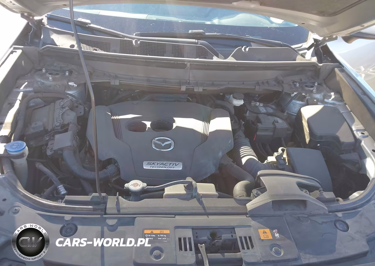 2016 Mazda Cx-9 Touring VIN:JM3TCACY0G0116165 - 10