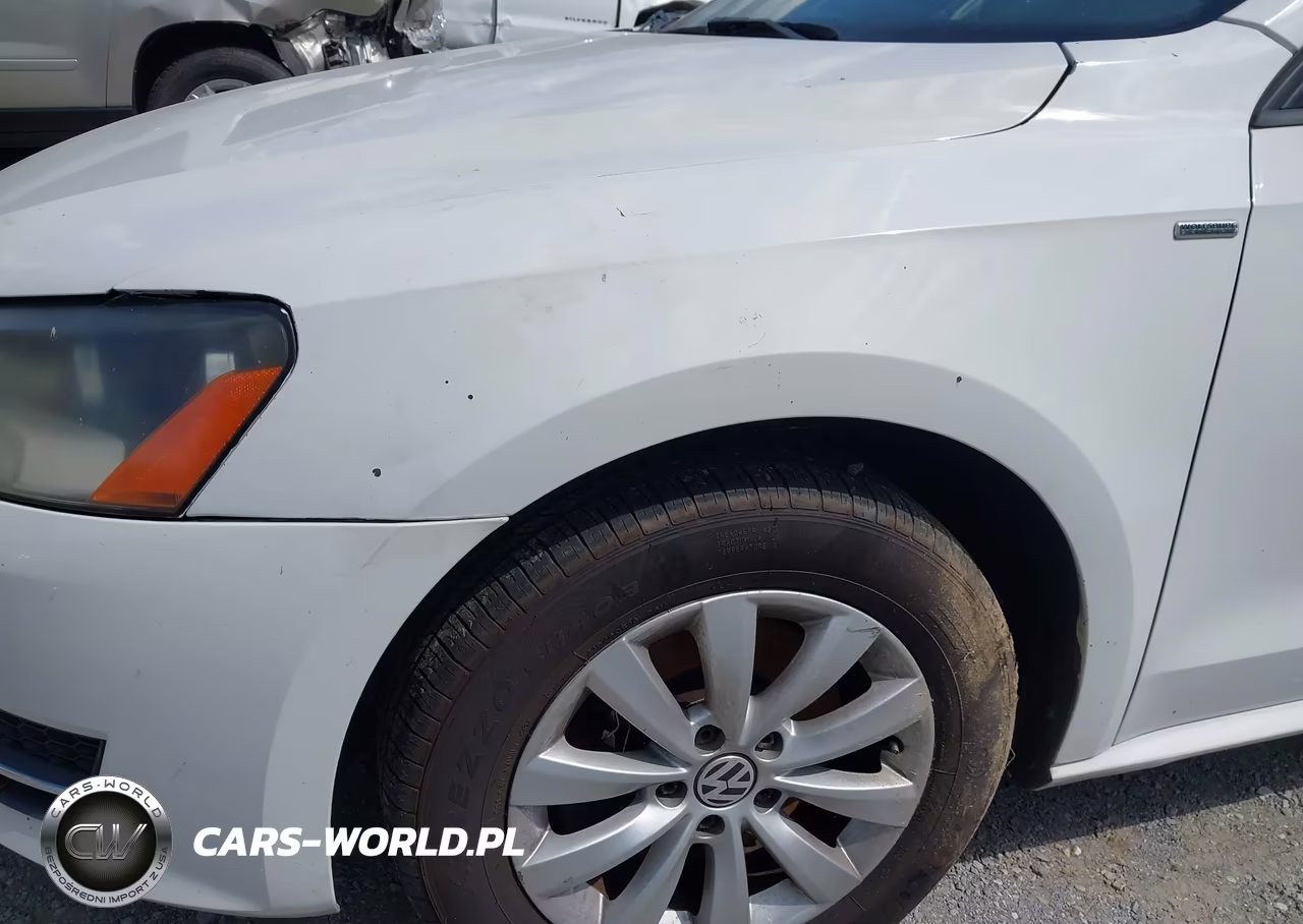 2014 Volkswagen Passat 1.8T Wolfsburg Edition VIN:1VWAT7A39EC082746 - 17