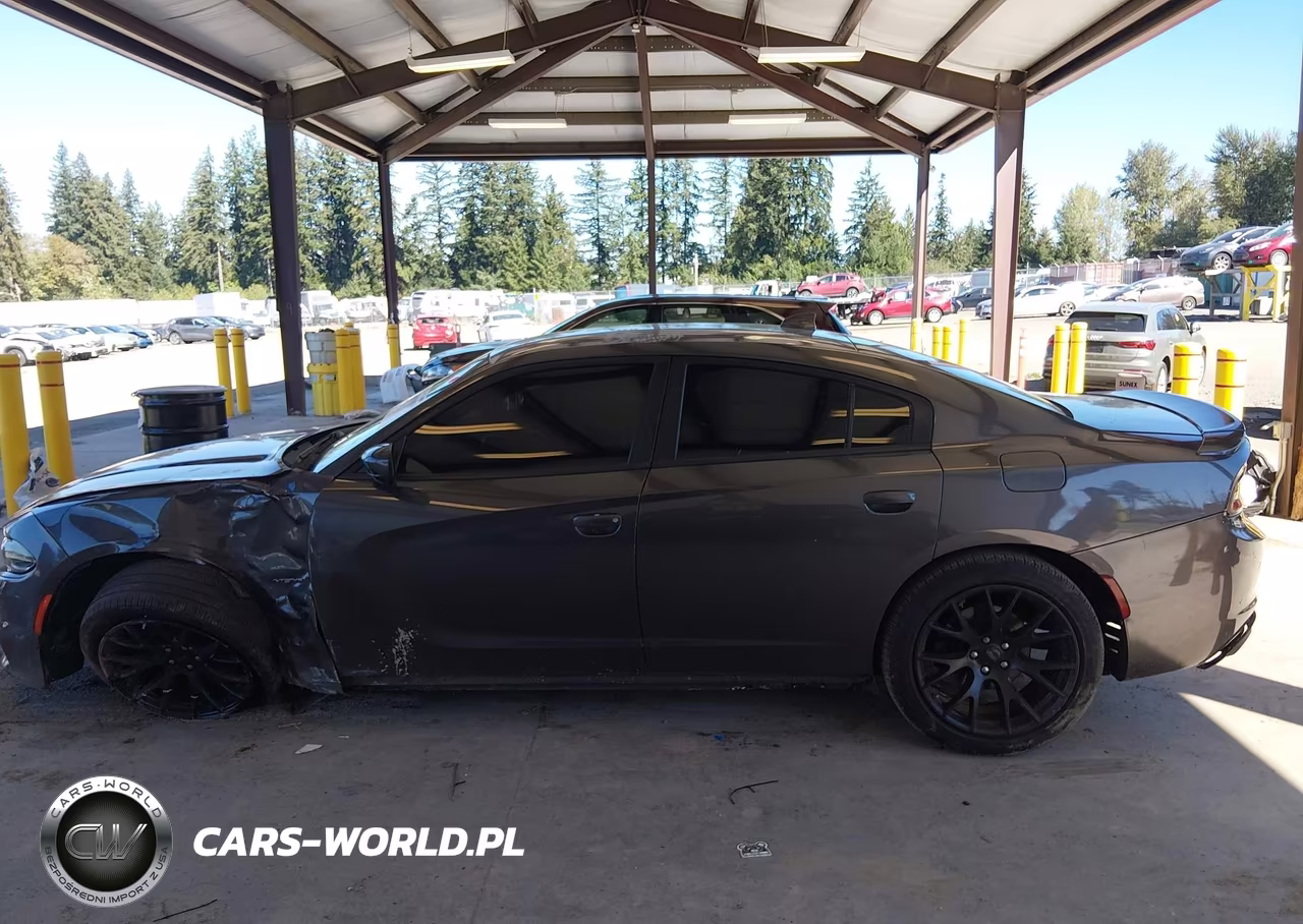 2015 Dodge Charger R-T VIN:2C3CDXCT7FH901701 - 15