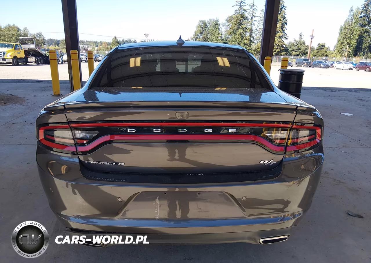 2015 Dodge Charger R-T VIN:2C3CDXCT7FH901701 - 17