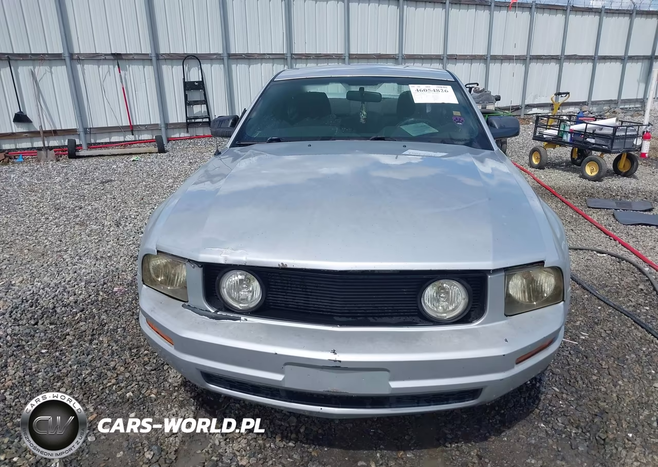 2007 Ford Mustang V6 Deluxe-V6 Premium VIN:1ZVFT80N075224357 - 12