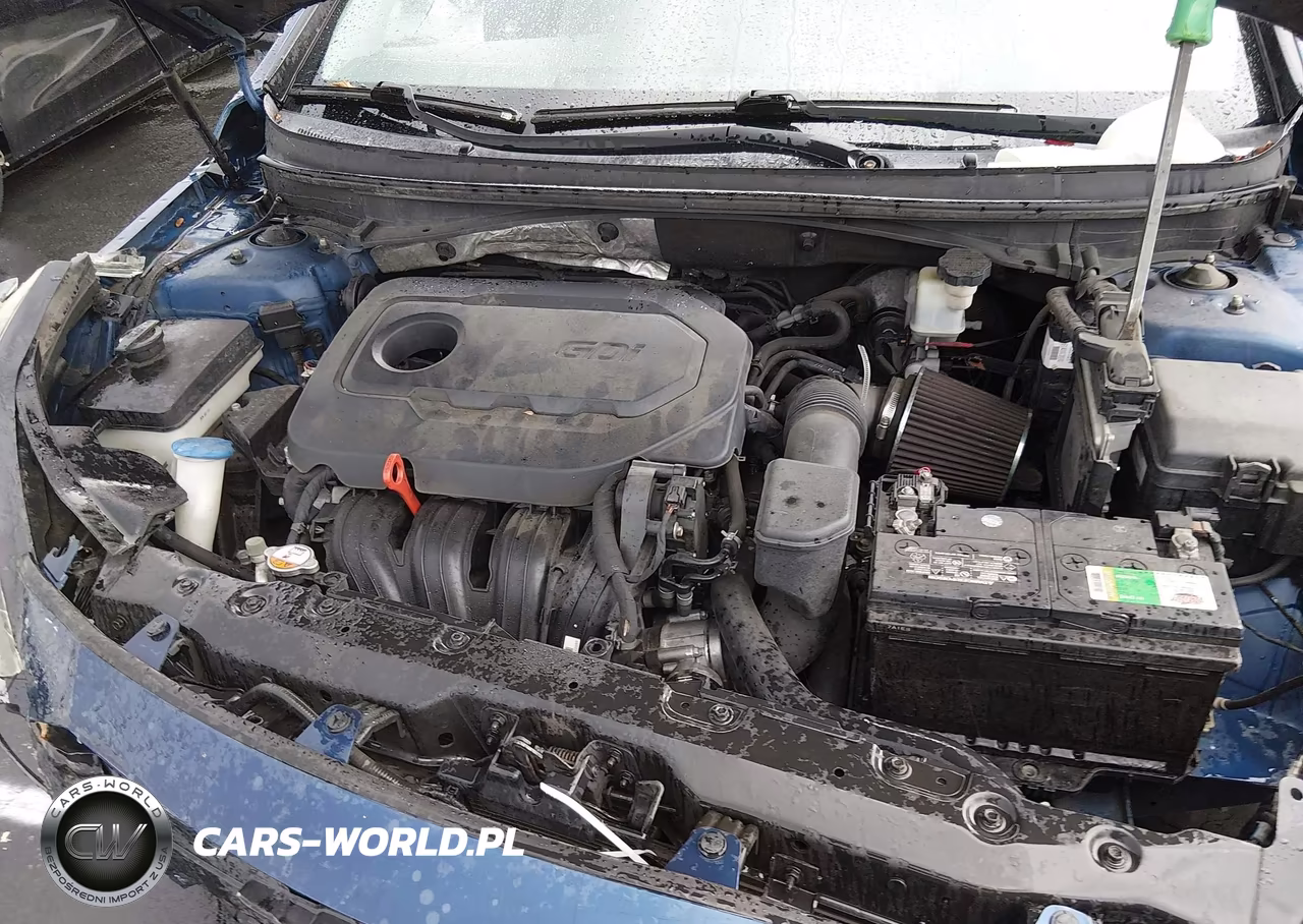 2016 Hyundai Sonata Se VIN:5NPE24AF7GH428428 - 10