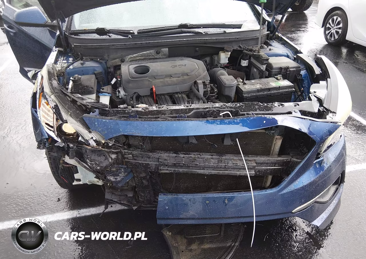 2016 Hyundai Sonata Se VIN:5NPE24AF7GH428428 - 6