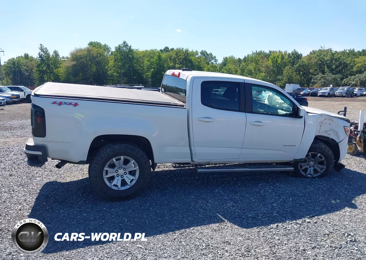 2020 Chevrolet Colorado 4Wd Long Box Wt VIN:1GCGTBEN1L1110107 - 17