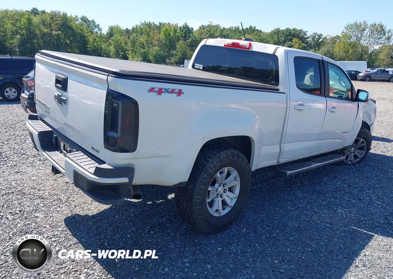 2020 Chevrolet Colorado 4Wd Long Box Wt VIN:1GCGTBEN1L1110107 - 4