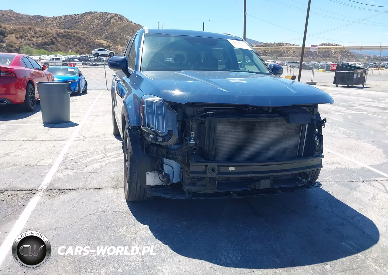 2024 Kia Telluride S VIN:5XYP64GC9RG538997 - 12