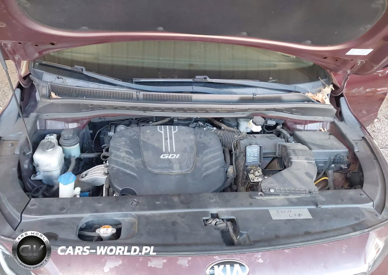 2016 Kia Sedona Lx VIN:KNDMB5C1XG6204762 - 10