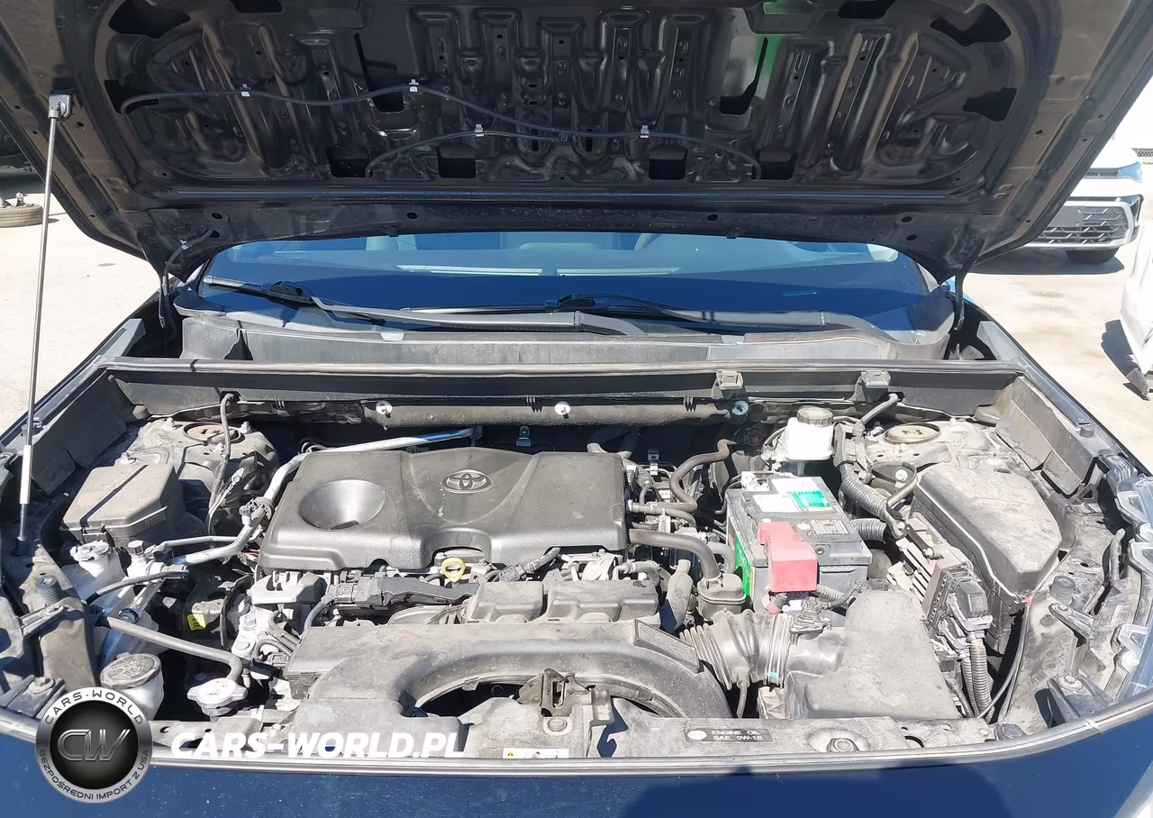 2019 Toyota Rav4 Le VIN:2T3H1RFV7KC019717 - 10