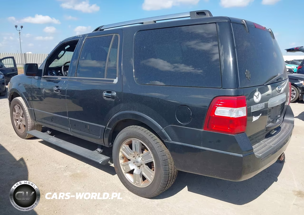 2010 Ford Expedition Limited VIN:1FMJU2A58AEB66006 - 3