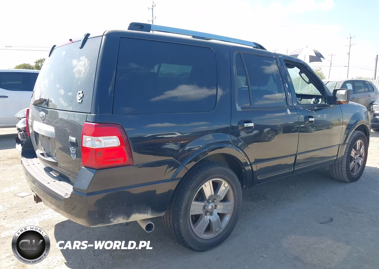 2010 Ford Expedition Limited VIN:1FMJU2A58AEB66006 - 4